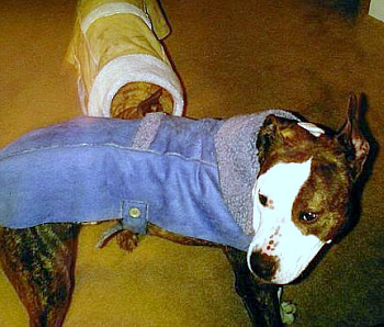 BringPeace's profile picture. I'm a Peace activist in Pacific NW. I'm working to end violence against other people esp. war, rape, & physical, sexual & emotional abuse of Children & Women.