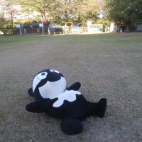 kakyo (@kakyo61) 's Twitter Profile Photo kakyo (@kakyo61) 's Twitter Profile Photo