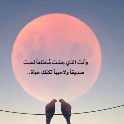 رد ...الإضافة 💓