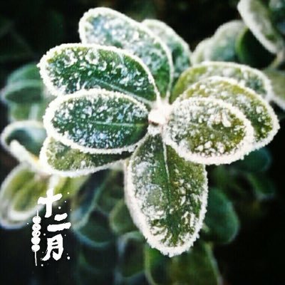 You can’t lecture people. You give them information, and hopefully over time it begins to make a difference, so please always stay with truth. 恨谎言/爱怼人/爱拉黑。