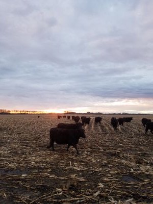 BartholomayKarl's profile picture. 