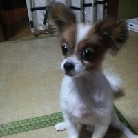 美Lee(@Lee42648547) 's Twitter Profile Photo