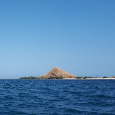 Trader_culun's profile picture. Newbie