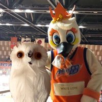 オレンジのふくろう🦉🍊🦢 (@fuku_orange_alb) 's Twitter Profile Photo オレンジのふくろう🦉🍊🦢 (@fuku_orange_alb) 's Twitter Profile Photo