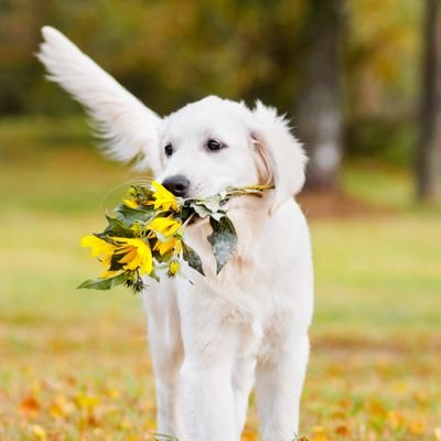 Baemunbae's profile picture. 