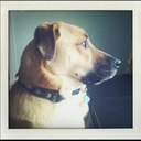 Dan McMinn - @McMinnvillain - Twitter