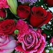 saleemn95958240's profile picture. Journalist