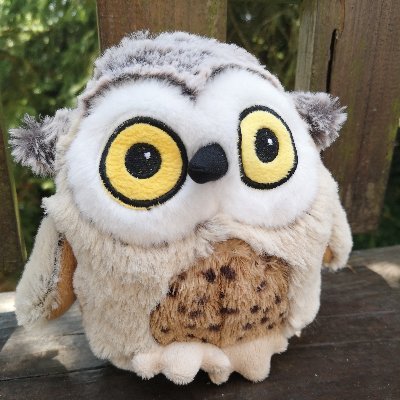 lauree62's profile picture. 