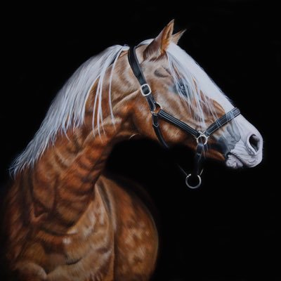 AprilRain Equine Artさんのプロフィール画像