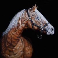 AprilRain Equine Art(@milburn_loraine) 's Twitter Profile Photo