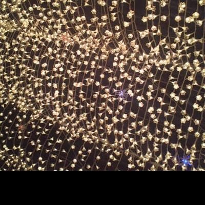 DWtFpeND9kEocs8's profile picture. 