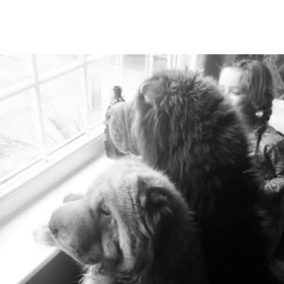 jay19227997's profile picture.