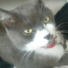 jacky_styleblog's profile picture. 主にお金や節約に関するブログを書いています。2020年2月～