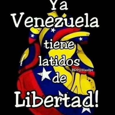 Venezolano .