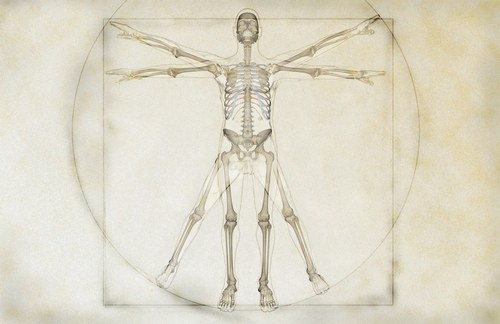 Yasser_Salim's profile picture. 