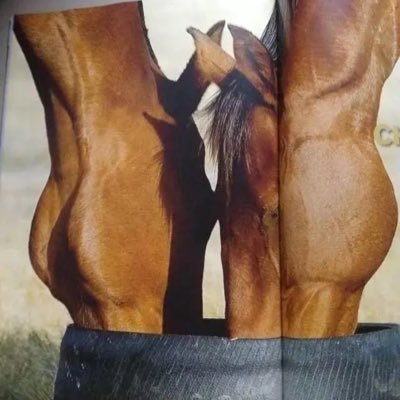 yale1918's profile picture. 