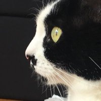 Renata (@renata099) 's Twitter Profile Photo