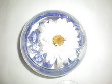 ImperfectFlaws's profile picture. Take glimpse into the happenings of an imperfect life.