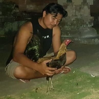 MadeModok's profile picture. 