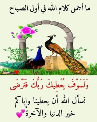 HabibMoutaki's profile picture. Islam