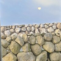 Lucia King (@bushnills1608) 's Twitter Profile Photo