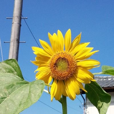 g2vh315's profile picture. 