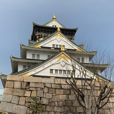 セフレ募集してます/大阪在住/気軽にDMきてね