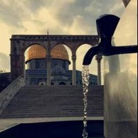 ابن النابلسي (@sqamhiyeh) 's Twitter Profile