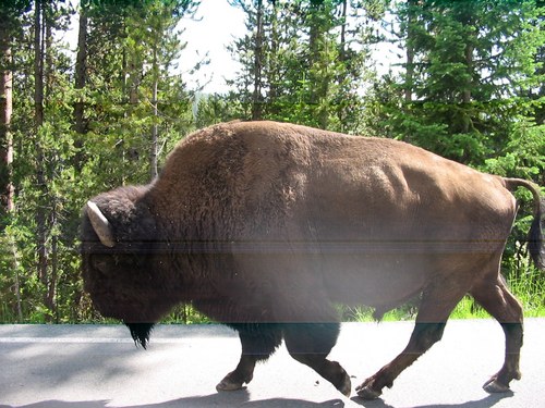 jsrivertime's profile picture. 