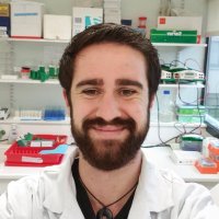 Avilien Dard (@aviliendard) 's Twitter Profile