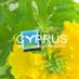 cyprus tourism 🇺🇦 (@cyprustourism) Twitter profile photo