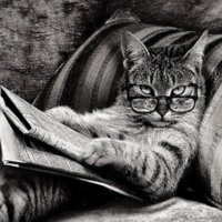 ExcuseMyCorrectness™ (@mycorrectness) 's Twitter Profile