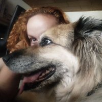 Schwabbelclown Zaubertroll (@frauzaubertroll) 's Twitter Profile