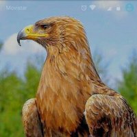Alexis (@_sergioarguello) 's Twitter Profile