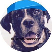 CRYPT⌬ BAṆ̶̨̢̦͚͚̜͇̯̉D⌬GGE 1⌬,⌬⌬⌬X 💎s (@cryptobandogge) 's Twitter Profile Photo CRYPT⌬ BAṆ̶̨̢̦͚͚̜͇̯̉D⌬GGE 1⌬,⌬⌬⌬X 💎s (@cryptobandogge) 's Twitter Profile Photo