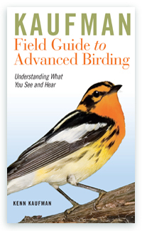 The most user-friendly field guides for naturalists in North America: Birds, Butterflies, Mammals, Insects.