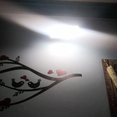 NarendraChoudhr's profile picture. 