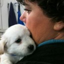 Jenny Shane - @fumoty - Twitter