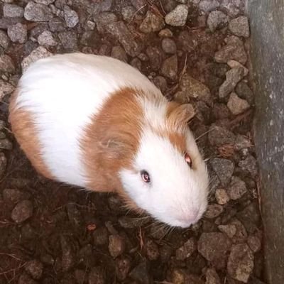 HeartMiaka's profile picture. be real.