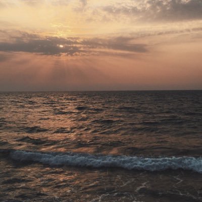 dodo51117535's profile picture. 