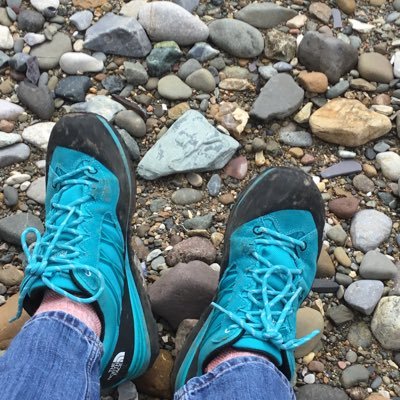 Marine biologist studying jellyfish | aka Cathy Hawkes | Loves 'to do' lists 🤔