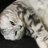 kw_kwy's profile image