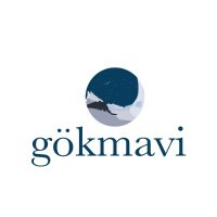 gökmavi (@dergigokmavi) Twitter profile photo