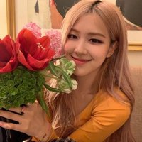 gαвs; ℓυα 천사(@roseydefense) 's Twitter Profile Photo