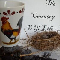 Country Wife Life(@countrywifelife) 's Twitter Profile Photo