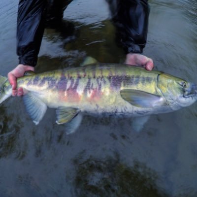 The best in fishing content. Follow us on Instagram, same handle.