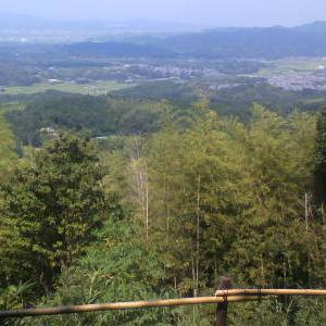 本を売る商売ときどきミステリ研究者