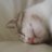scowel28's profile image
