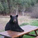 Aiden Lambert - @AidenLambert15 - Twitter