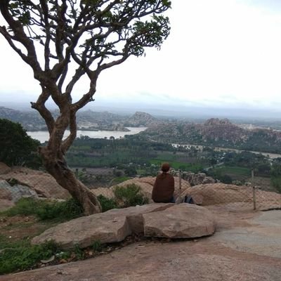 Shep00A9's profile picture. I'm a technophobe who likes to retweet good stuff and I'm sometimes funny. 

(she/her)